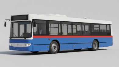 автобус 2 луцьк