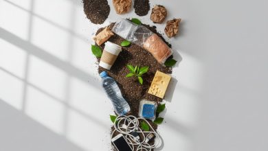 Що таке вуглецевий слід: Як ваші щоденні покупки впливають на зміну клімату